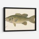 Bajo Negro De Boca Pequeña - Denton | Cuadro decorativo de Canvas Lab