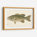 Bajo Negro De Boca Pequeña - Denton | Cuadro decorativo de Canvas Lab