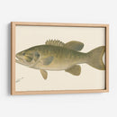 Bajo Negro De Boca Pequeña - Denton | Cuadro decorativo de Canvas Lab