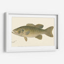 Bajo Negro De Boca Pequeña - Denton | Cuadro decorativo de Canvas Lab