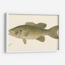 Bajo Negro De Boca Pequeña - Denton | Cuadro decorativo de Canvas Lab