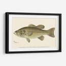 Bajo Negro De Boca Grande - Denton | Cuadro decorativo de Canvas Lab