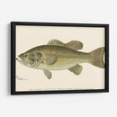 Bajo Negro De Boca Grande - Denton | Cuadro decorativo de Canvas Lab