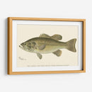 Bajo Negro De Boca Grande - Denton | Cuadro decorativo de Canvas Lab