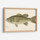 Bajo Negro De Boca Grande - Denton | Cuadro decorativo de Canvas Lab