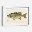 Bajo Negro De Boca Grande - Denton | Cuadro decorativo de Canvas Lab