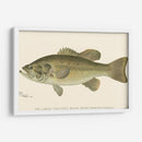 Bajo Negro De Boca Grande - Denton | Cuadro decorativo de Canvas Lab