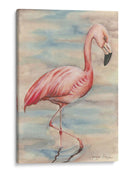 Flamenco Rosa I - Jennifer Goldberger | Cuadro decorativo de Canvas Lab