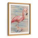 Flamenco Rosa I - Jennifer Goldberger | Cuadro decorativo de Canvas Lab