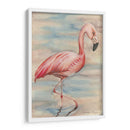 Flamenco Rosa I - Jennifer Goldberger | Cuadro decorativo de Canvas Lab