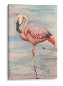 Flamenco Ii Rosa - Jennifer Goldberger | Cuadro decorativo de Canvas Lab