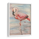 Flamenco Ii Rosa - Jennifer Goldberger | Cuadro decorativo de Canvas Lab