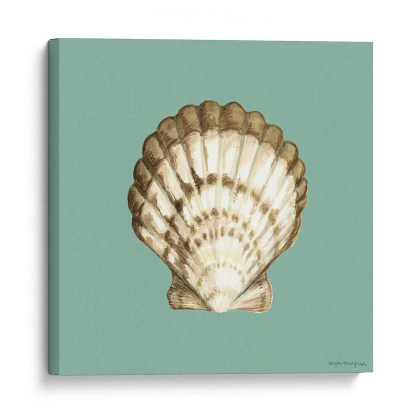 Shell En Aqua Iii - Megan Meagher | Cuadro decorativo de Canvas Lab