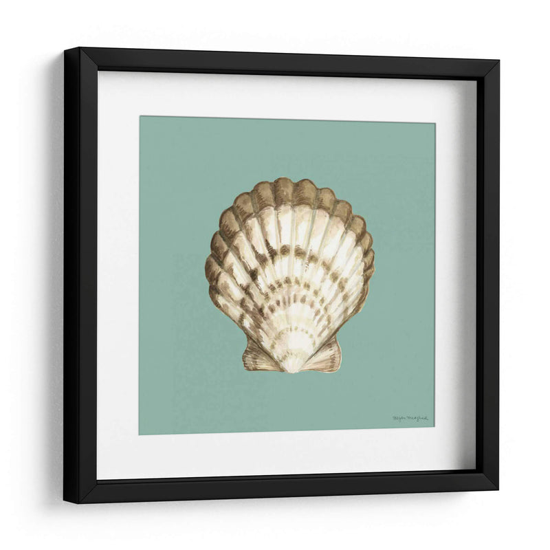 Shell En Aqua Iii - Megan Meagher | Cuadro decorativo de Canvas Lab