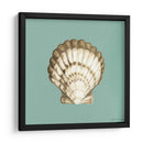 Shell En Aqua Iii - Megan Meagher | Cuadro decorativo de Canvas Lab