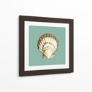 Shell En Aqua Iii - Megan Meagher | Cuadro decorativo de Canvas Lab