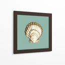 Shell En Aqua Iii - Megan Meagher | Cuadro decorativo de Canvas Lab