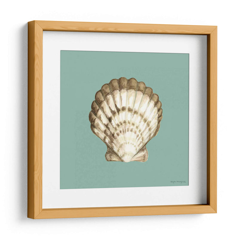 Shell En Aqua Iii - Megan Meagher | Cuadro decorativo de Canvas Lab