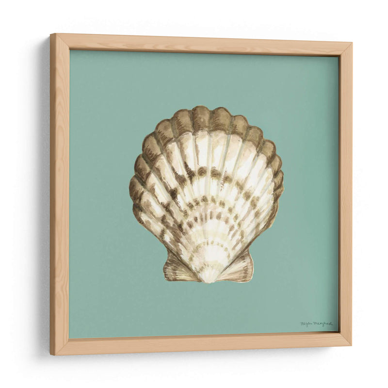 Shell En Aqua Iii - Megan Meagher | Cuadro decorativo de Canvas Lab