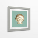 Shell En Aqua Iii - Megan Meagher | Cuadro decorativo de Canvas Lab