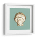 Shell En Aqua Iii - Megan Meagher | Cuadro decorativo de Canvas Lab