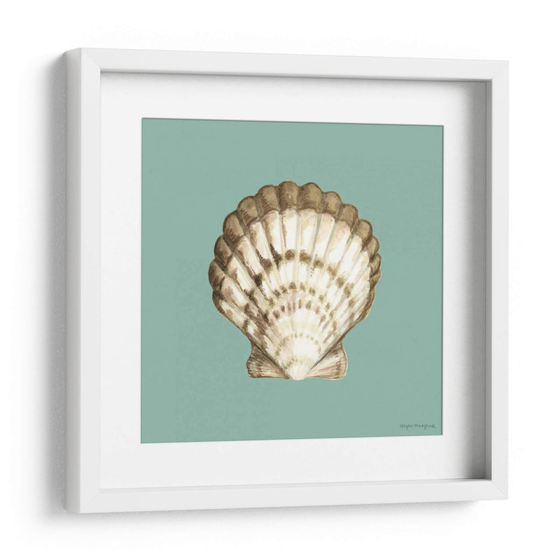 Shell En Aqua Iii - Megan Meagher | Cuadro decorativo de Canvas Lab