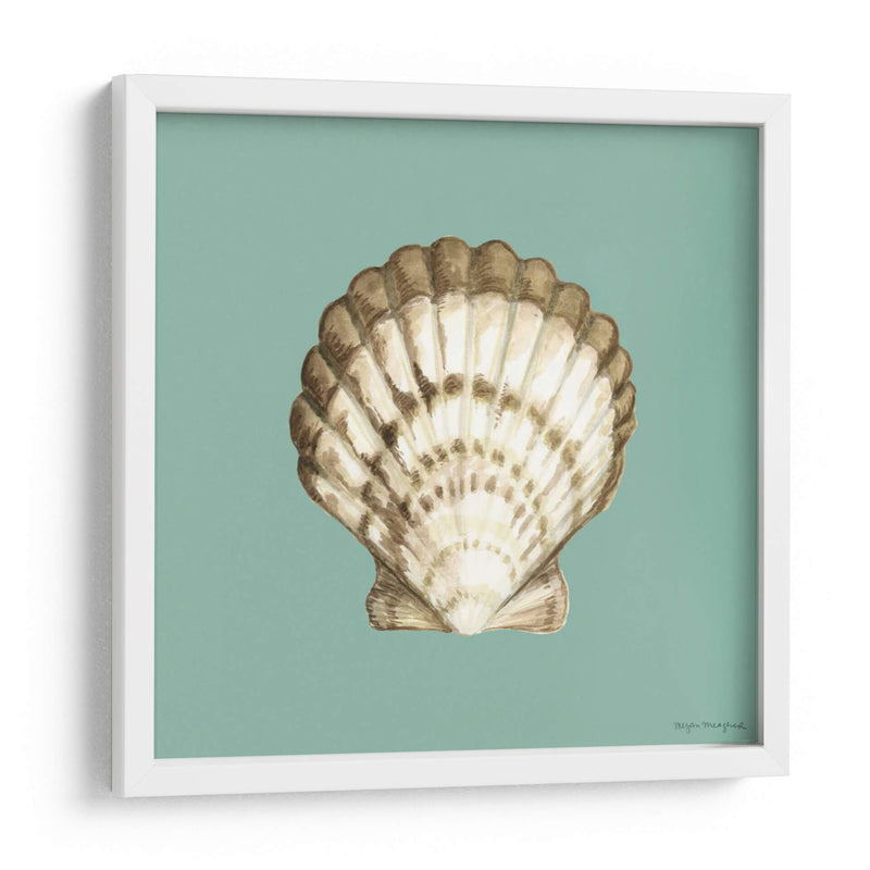 Shell En Aqua Iii - Megan Meagher | Cuadro decorativo de Canvas Lab