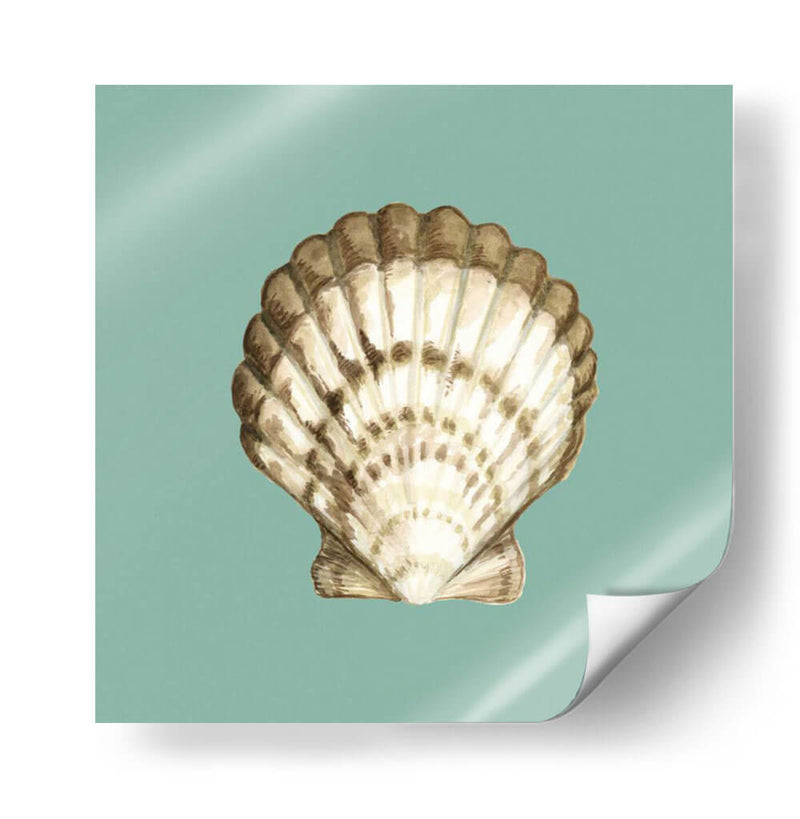 Shell En Aqua Iii - Megan Meagher | Cuadro decorativo de Canvas Lab