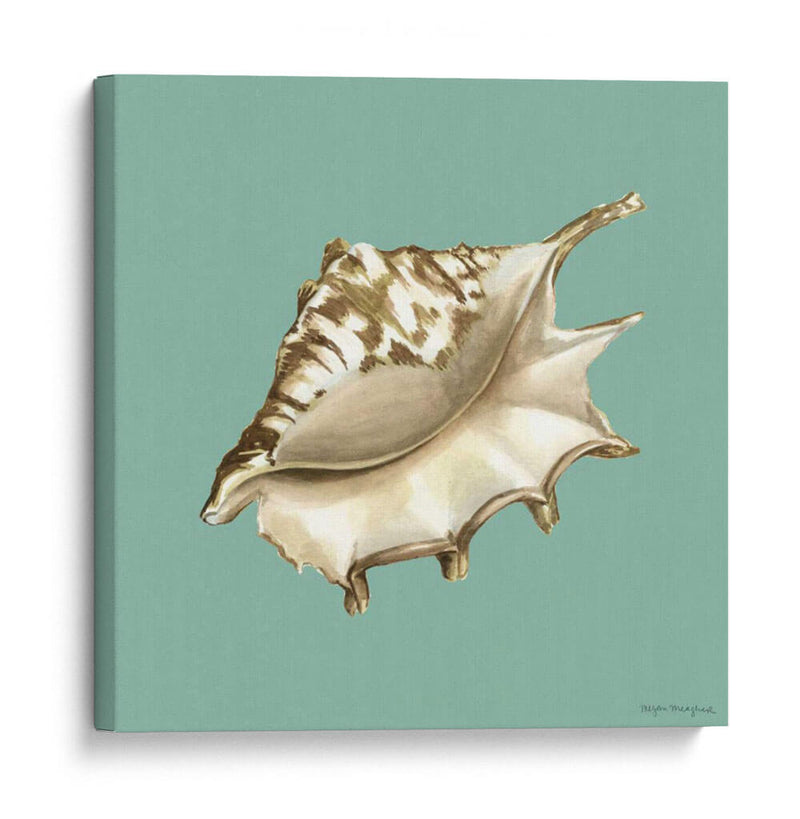 Shell En Aqua Iv - Megan Meagher | Cuadro decorativo de Canvas Lab