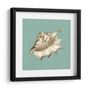 Shell En Aqua Iv - Megan Meagher | Cuadro decorativo de Canvas Lab