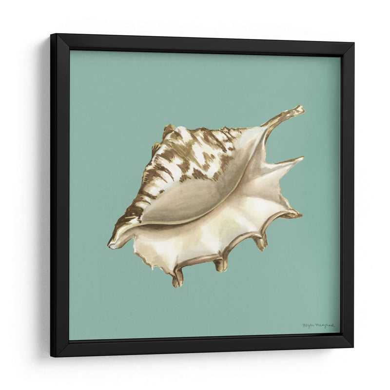 Shell En Aqua Iv - Megan Meagher | Cuadro decorativo de Canvas Lab