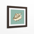 Shell En Aqua Iv - Megan Meagher | Cuadro decorativo de Canvas Lab