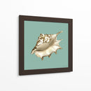 Shell En Aqua Iv - Megan Meagher | Cuadro decorativo de Canvas Lab