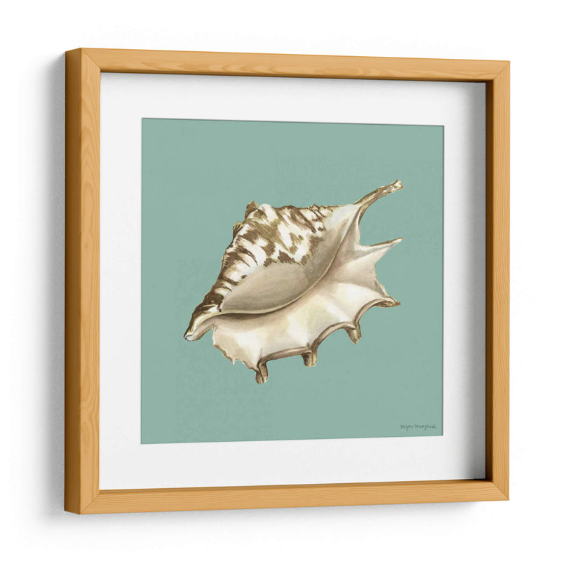 Shell En Aqua Iv - Megan Meagher | Cuadro decorativo de Canvas Lab