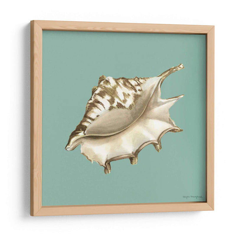 Shell En Aqua Iv - Megan Meagher | Cuadro decorativo de Canvas Lab