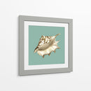 Shell En Aqua Iv - Megan Meagher | Cuadro decorativo de Canvas Lab