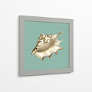 Shell En Aqua Iv - Megan Meagher | Cuadro decorativo de Canvas Lab