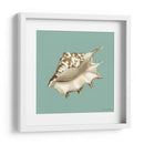 Shell En Aqua Iv - Megan Meagher | Cuadro decorativo de Canvas Lab