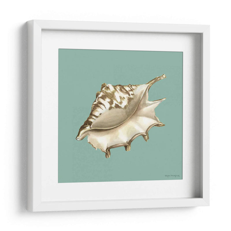 Shell En Aqua Iv - Megan Meagher | Cuadro decorativo de Canvas Lab