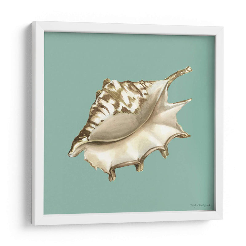 Shell En Aqua Iv - Megan Meagher | Cuadro decorativo de Canvas Lab