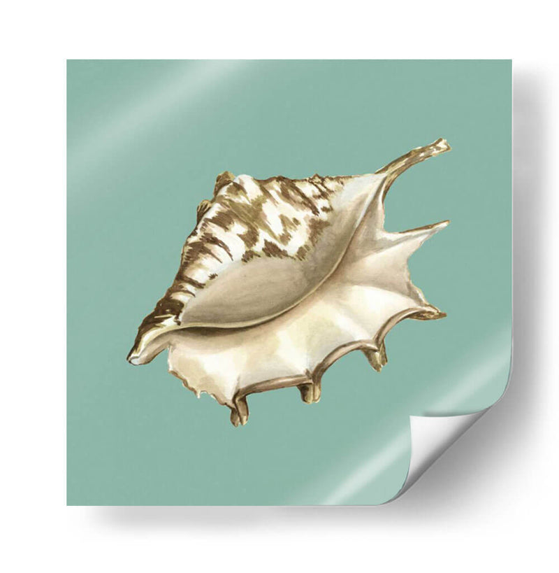 Shell En Aqua Iv - Megan Meagher | Cuadro decorativo de Canvas Lab