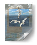 Tres Gaviotas Blancas Ii - Tara Friel | Cuadro decorativo de Canvas Lab