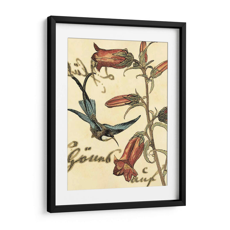 Hummingbird Pequeño Reverie I - Vision Studio | Cuadro decorativo de Canvas Lab