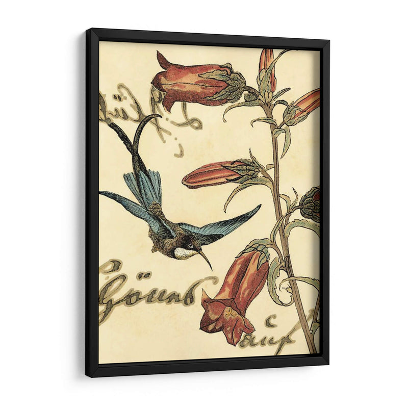 Hummingbird Pequeño Reverie I - Vision Studio | Cuadro decorativo de Canvas Lab