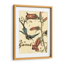 Hummingbird Pequeño Reverie I - Vision Studio | Cuadro decorativo de Canvas Lab
