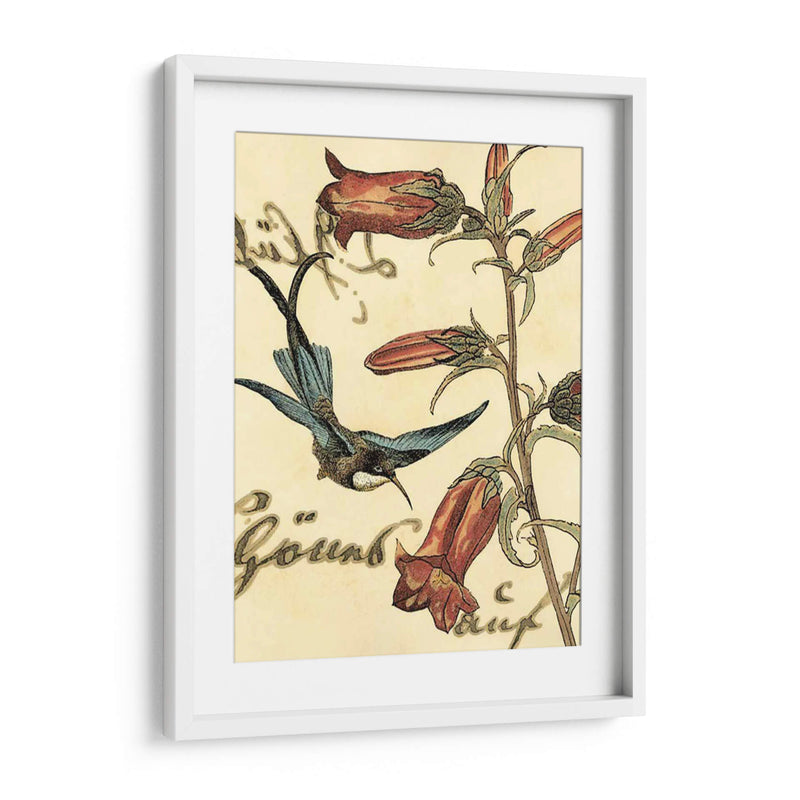 Hummingbird Pequeño Reverie I - Vision Studio | Cuadro decorativo de Canvas Lab