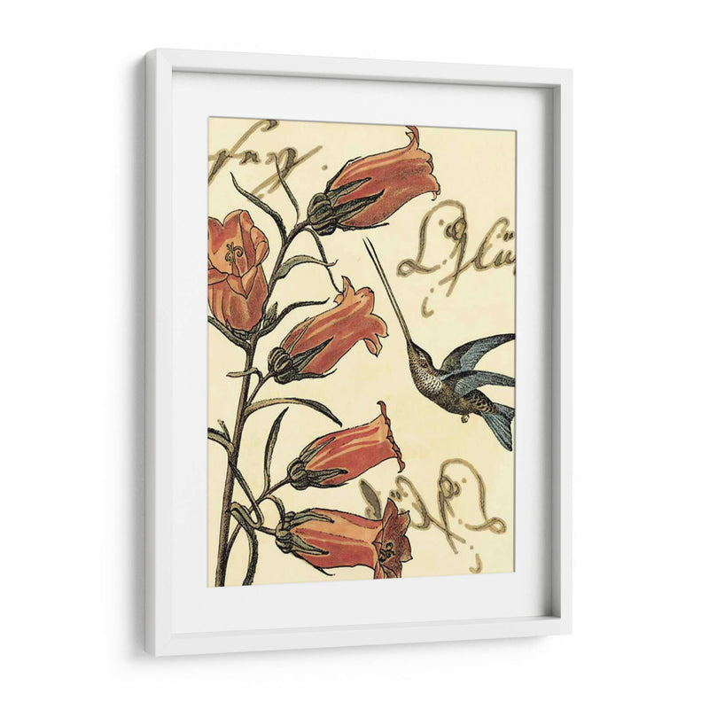 Small Hummingbird Reverie Ii - Vision Studio | Cuadro decorativo de Canvas Lab