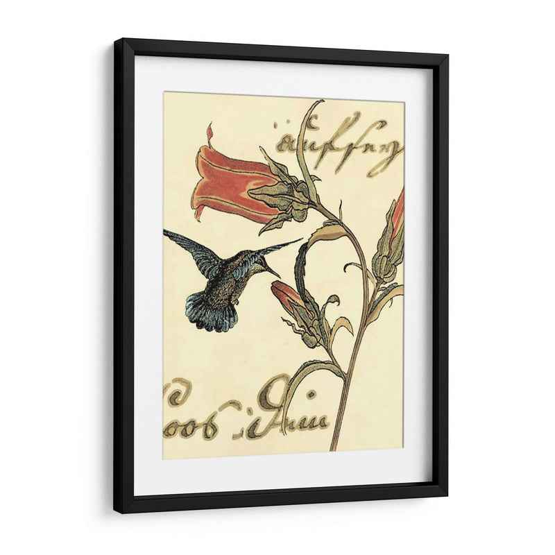 Small Hummingbird Reverie Iii - Vision Studio | Cuadro decorativo de Canvas Lab