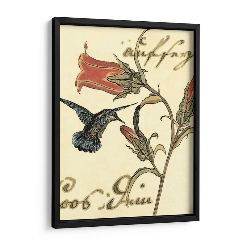 Small Hummingbird Reverie Iii - Vision Studio | Cuadro decorativo de Canvas Lab