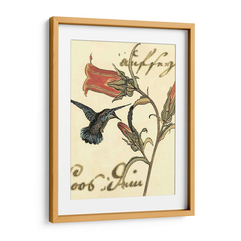 Small Hummingbird Reverie Iii - Vision Studio | Cuadro decorativo de Canvas Lab